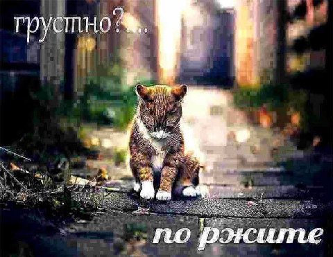 грустно: о роките