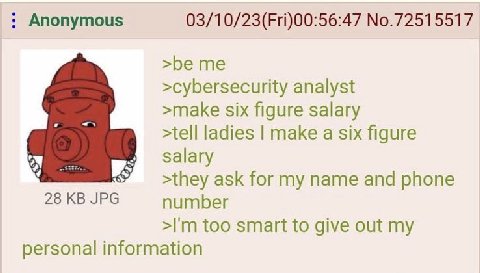 Anonymous 03/10/23(Fri)00:56:47 No.72515517 >be me >cybersecurity analyst >make six figure salary >tell ladies make a six figure salary >they ask for my name and phone 28 JPG number too smart to give 