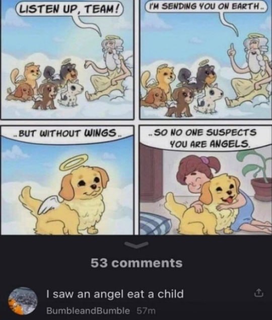 (LISTEN UP, TEAM/) You ON EARTH 4 6.7 ‚ВИТ WITHOUT WINGS. SO ONE SUSPECTS YOU ARE ANGELS ifs ALA 53 comments saw an angel eat a child BumbleandBumble