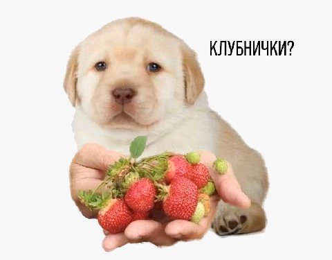 КЛУБНИЧКИ?