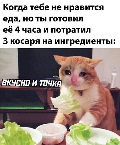 Когда тебе не нравится еда, но ты готовил её 4 часа и потратил 3 косаря на ингредиенты ВКУСНО И