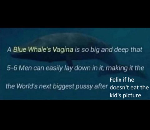 Felix if he doesn't eat the kid's picture