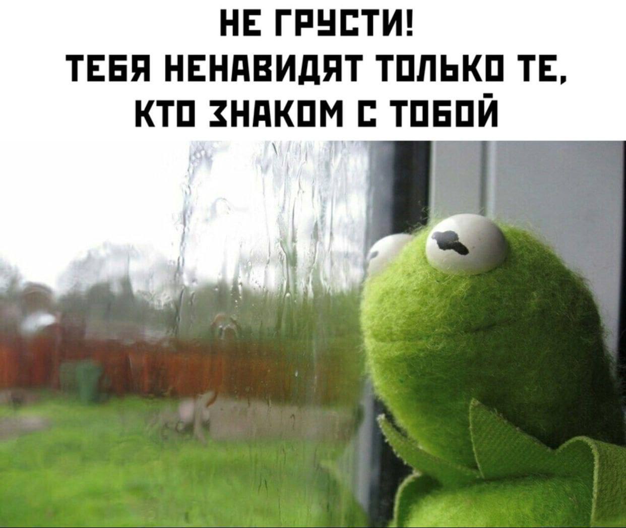 НЕ ГРУСТИ! ТЕБЯ НЕНАВИДЯТ ТОЛЬКО КТО ЗНАКОМ С ТОБОЙ