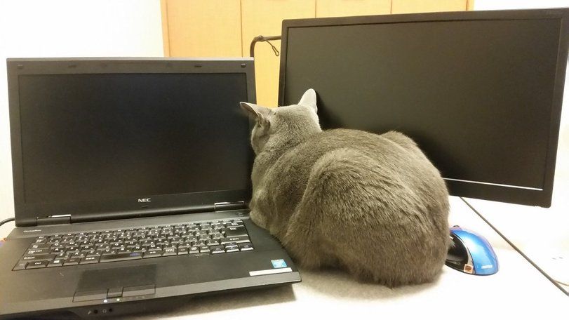 мес