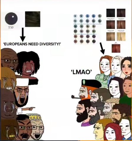 6 EUROPEANS NEED DIVERSITY!’ ‘LMAO’ о a AN