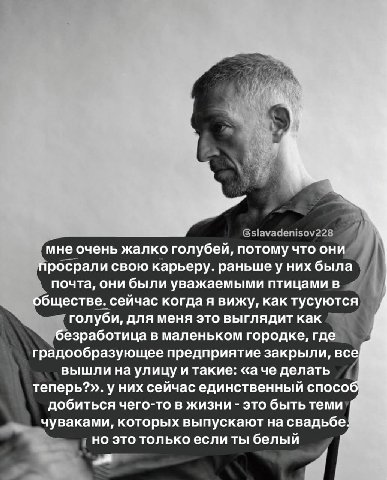 a rou мне очень жалко голубей, потому что они просрали свою карьеру. раньше у них была почта, они были уважаемыми птицами в обществе. сейчас когда я вижу, как тусуются голуби, для меня это выглядит ка
