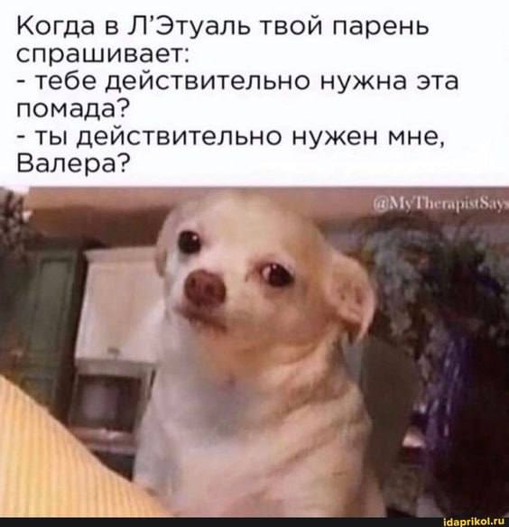 Когда в Л’Этуаль твой парень спрашивает: тебе действительно нужна эта помада? ты действительно нужен мне, Валера? 2 4 idaprikol.ru