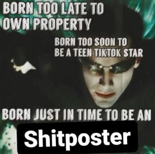 BOR ТОТ АТЕ ТО ‘4 iow N'PROPERTY BORN ТОО SOON ТО BEA BORN JUST IN TIME TO BE AN Shitposter