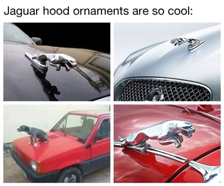 Jaguar hood ornaments are so cool: