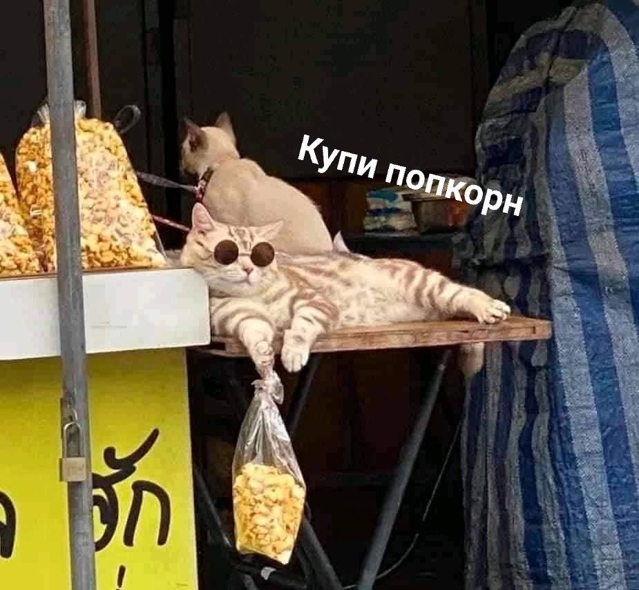 3 Упи по Nkop We