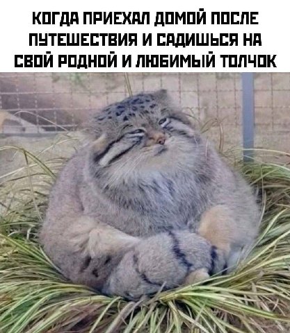 КОГДА ПРИЕХАЛ ДОМОЙ ПОСЛЕ ПУТЕШЕСТВИЯ И САДИШЬСЯ НА СВОЙ РОДНОЙ И ЛЮБИМЫЙ ТОЛЧОК и