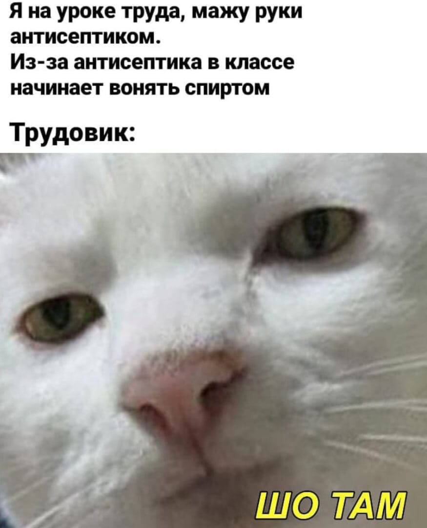 шо там