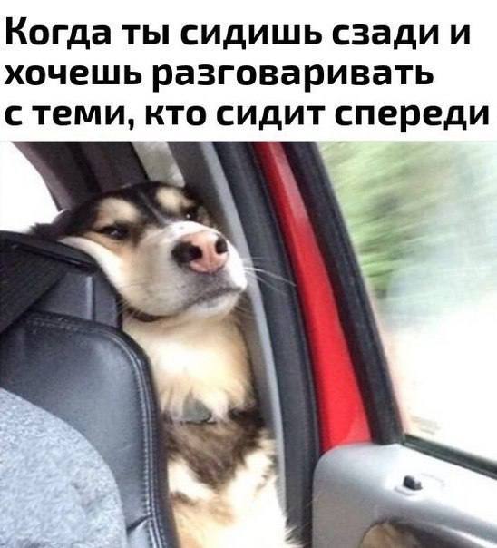 Когда ты сидишь сзади и хочешь разговаривать с теми, кто сидит спереди