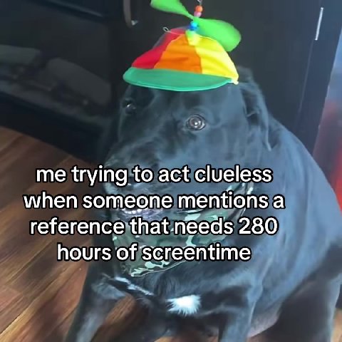 me trying to act clueless when someone mentionsia, reference thatineeds hours of. screentime reference\that needs 726) hours ойзсгееп{итех | whenjsomeone mentionsjal hoursjof'screentime