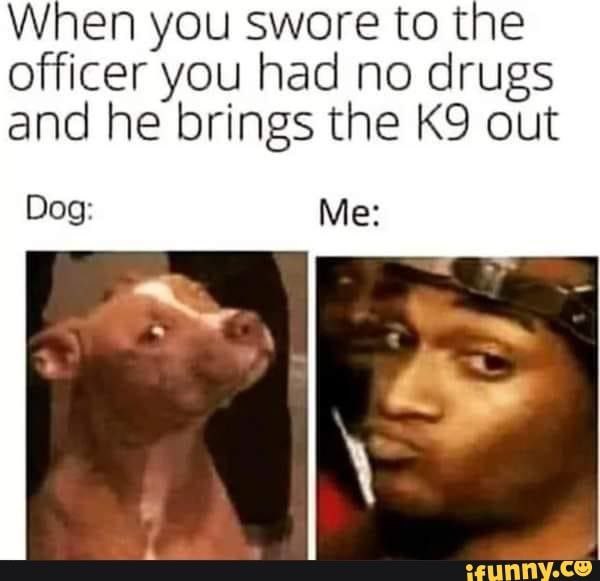 When you swore to the officer you had no drugs and he brings the out Dog: Me: