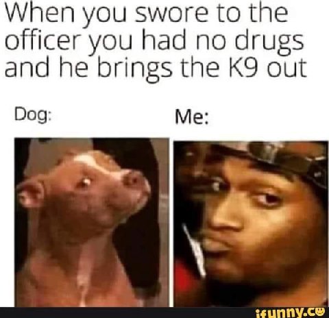 When you swore to the officer you had no drugs and he brings the out Dog: Me: