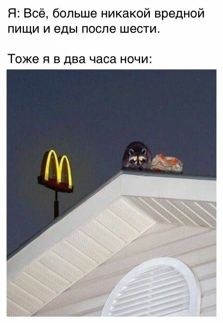 Я: Всё, больше никакой вредной пищи иеды после шести. Тоже я в два часа ночи: