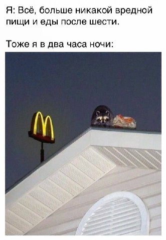 Я: Всё, больше никакой вредной пищи иеды после шести. Тоже я в два часа ночи: