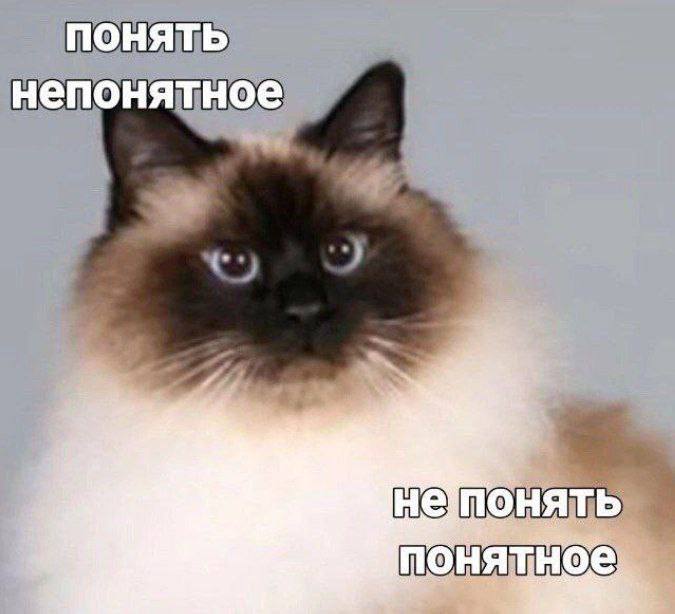 ПОНЯТЬ непонятное 4 непонять понятное