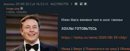 Аноним 29/08/20 Суб 16:53:31 №227865750 4 19 Илон Маск вживил чип в мозг свиньи ХОХЛЫ ГОТОВЬТЕСЬ Назад Вверх Подписаться на тред Обновь
