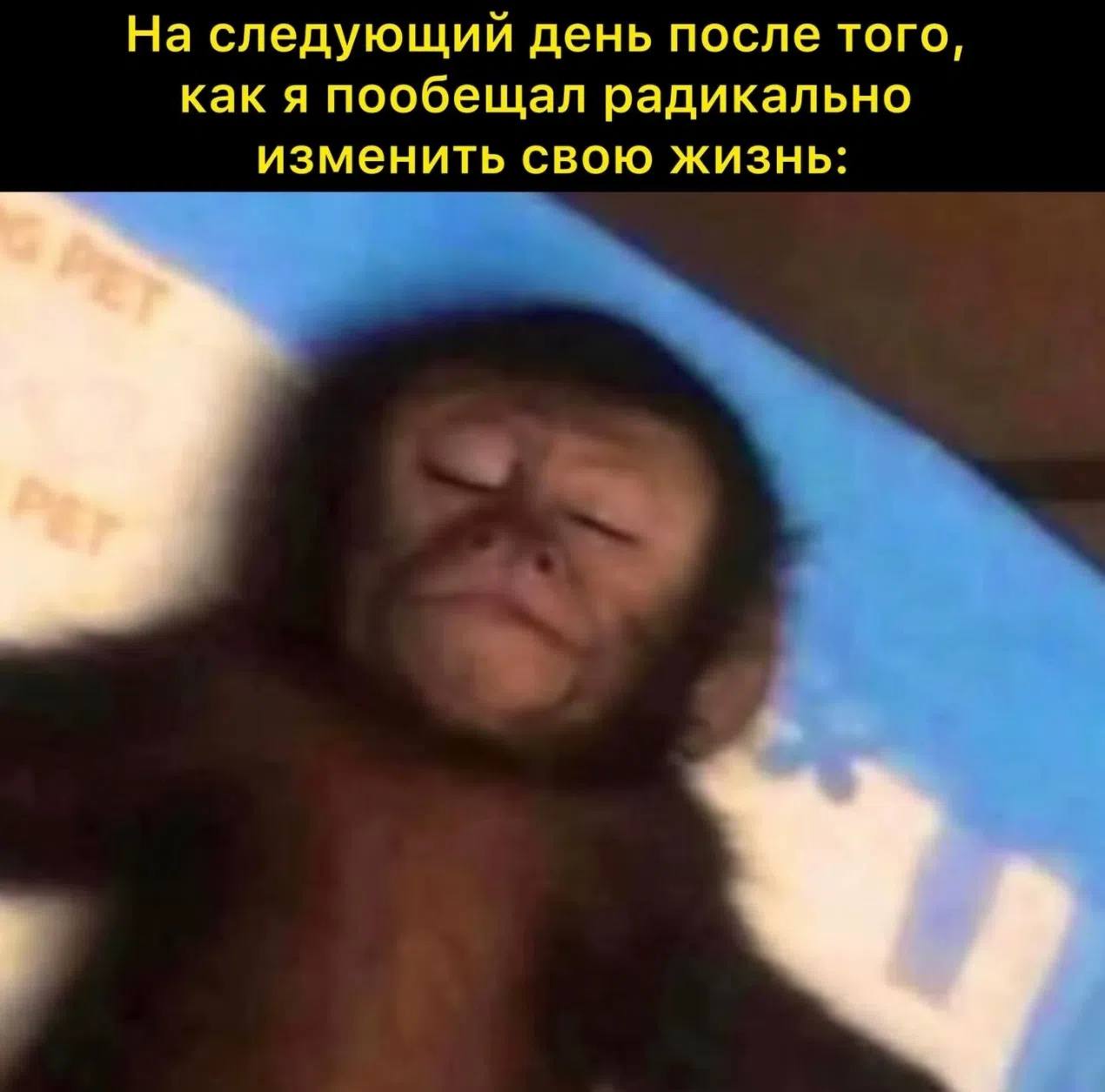 На следующий день после того, как я пообещал радикально изменить свою жизнь: