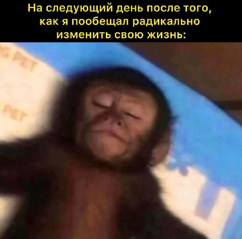 На следующий день после того, как я пообещал радикально изменить свою жизнь: