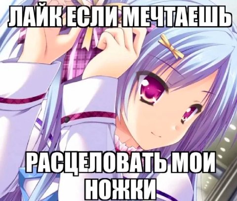 МЕЧТАЕШЬ 4. i МОИ: