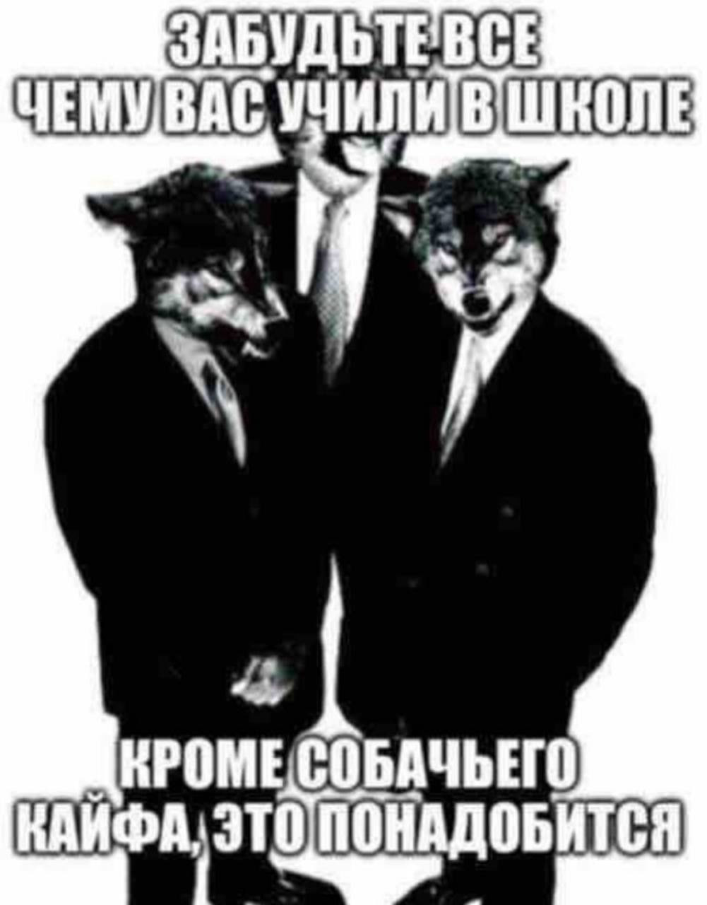 АБУДЬТЕВСЕ ЧЕМУВАС ШКОЛЕ КРОМЕСОБАЧЬЕГО ЭТО