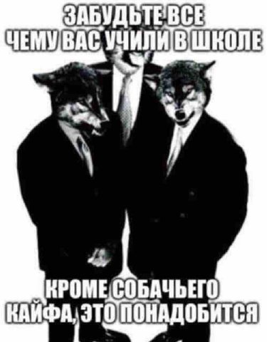 АБУДЬТЕВСЕ ЧЕМУВАС ШКОЛЕ КРОМЕСОБАЧЬЕГО ЭТО