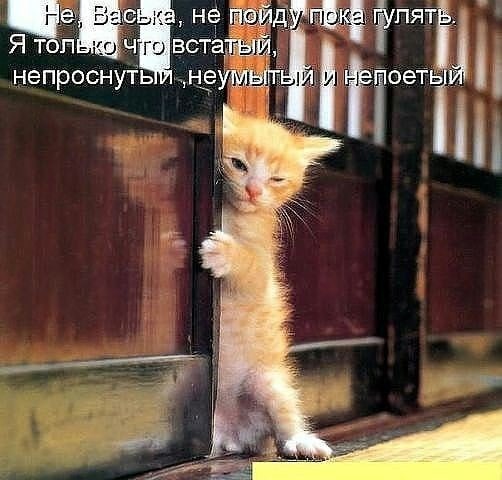 не пойду Гулять. статый, непроснуть непоетый 57