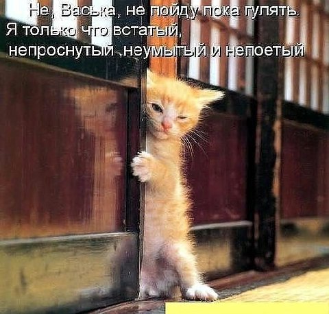 не пойду Гулять. статый, непроснуть непоетый 57