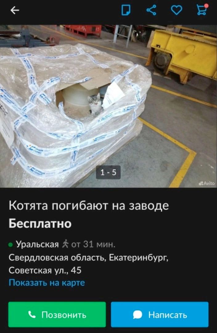 о<оЕ Котята погибают на заводе Бесплатно Уральская от 31 мин. Свердловская область, Екатеринбург, Советская 45 Показать на карте