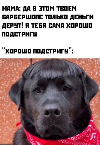МАМА: ДА В ЭТОМ ТВОЕМ БАРБЕРШОПЕ ТОЛЬКО ДЕНЬГИ ДЕРЧТ! Я ТЕБЯ САМА ХОРОШО ПОДСТРИГУ "ХОРОШО у} “he 7 of a