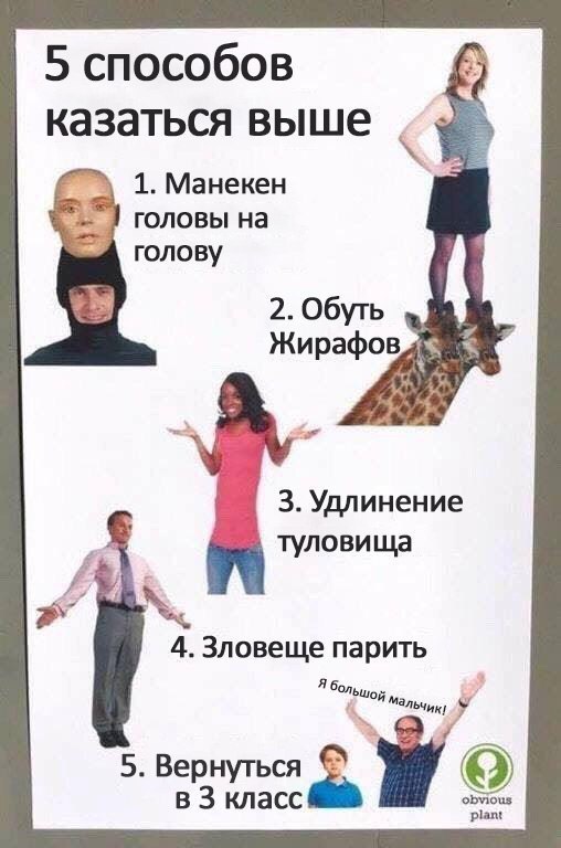 5 способов казаться выше 1. Манекен головы на голову 2. Обуть Жирафов 3. Удлинение туловища 4. Зловеще парить У 5. Вернуться в 3 класс plant