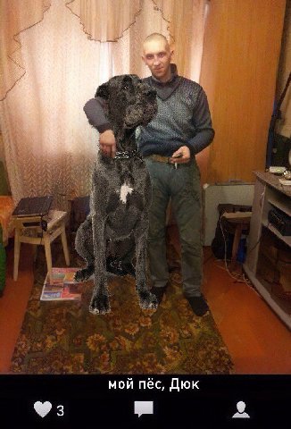 мой пёс, Дюк