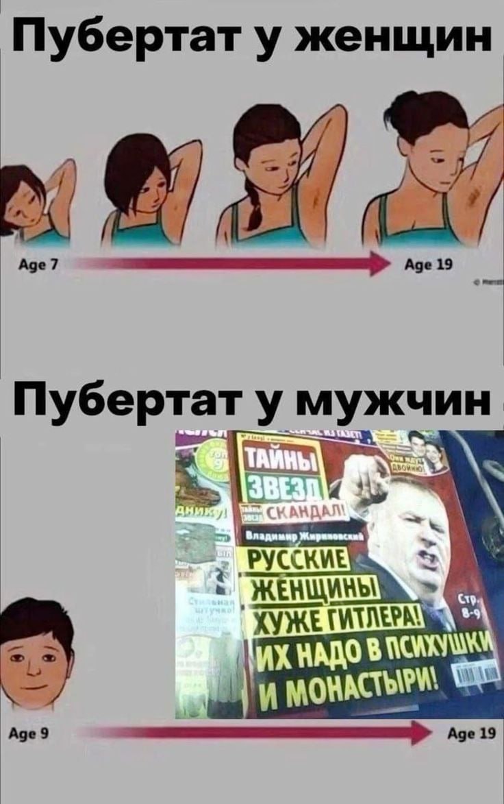 Пубертат у женщин i Age 19 Пубертат у мужчин Аде9 19