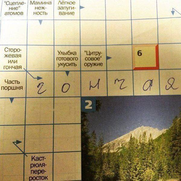 я увидел этот мем и меня натолкнуло на мысли. очевидно ответ собака, но де юро аутично гончая тоже подходит и поэтому это смешно. никакое другое слово не подходит. поэтому такой же комический эффект д