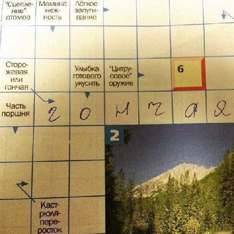 я увидел этот мем и меня натолкнуло на мысли. очевидно ответ собака, но де юро аутично гончая тоже подходит и поэтому это смешно. никакое другое слово не подходит. поэтому такой же комический эффект д