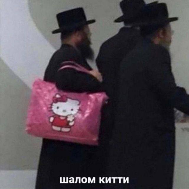 шалом китти