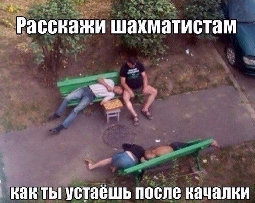 Расскажи шахматистам как ты устаёшь после качалки