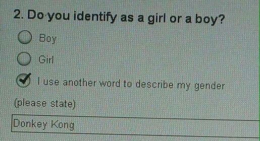 Do-you identify as a girl or a boy? another word to describe my gender (please state)
