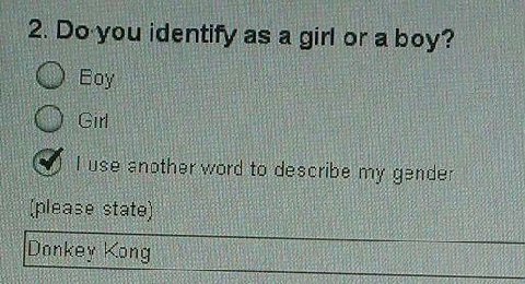 Do-you identify as a girl or a boy? another word to describe my gender (please state)