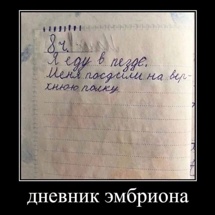 дневник эмбриона