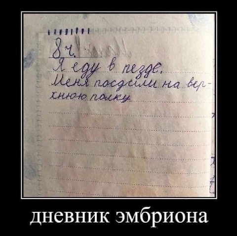 дневник эмбриона