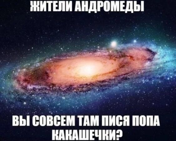 ЖИТЕЛИ АНДРОМЕДЫ 2 2% 5 ВЫ СОВСЕМ ТАМ ПИСЯ ПОПА КАКАШЕЧКИ?