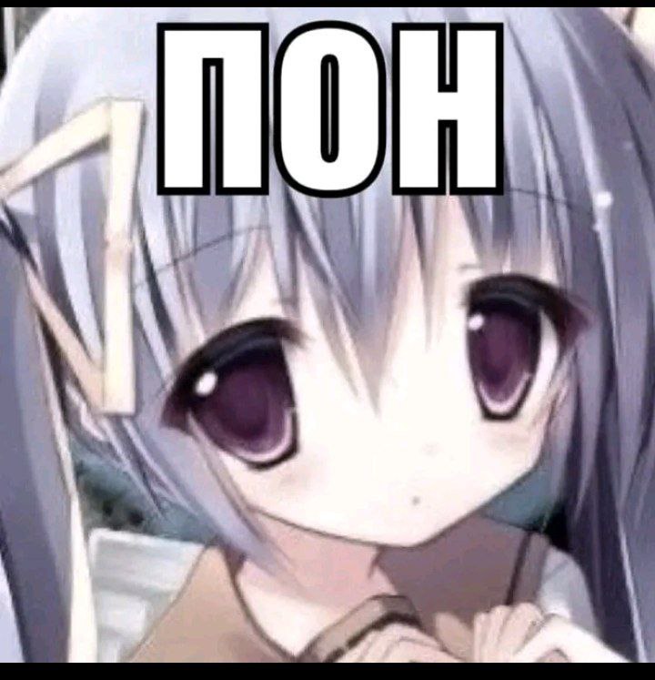 ПО