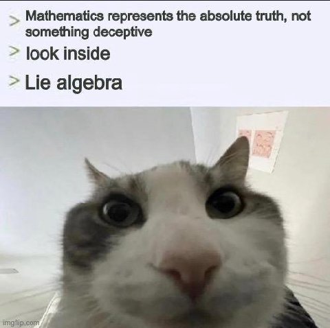 Mathematics represents the absolute truth, not something deceptive look inside Lie algebra