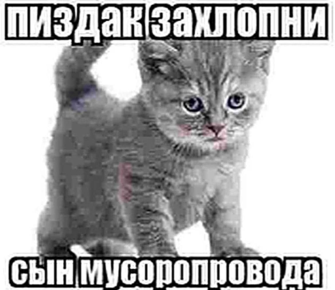 пиздавзахлопни