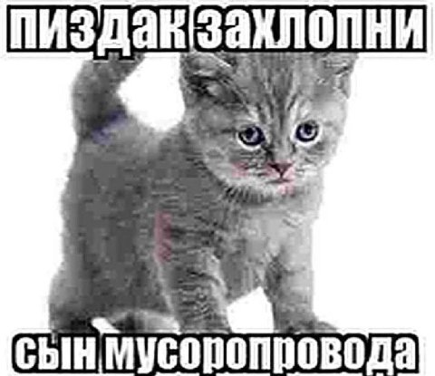 пиздавзахлопни