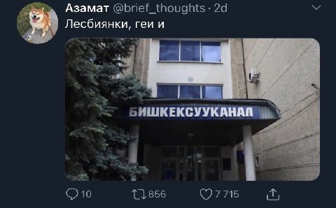 Азамат @brief_thoughts Лесбиянки, геи и БИШКЕКСУУКАНАЙ 10